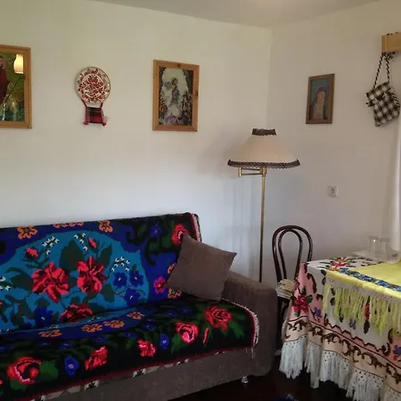 Pensiunea Turlas Maria Πανσιόν Salistea de Sus
